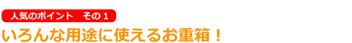 1.いろんな用途に使えるお重箱!