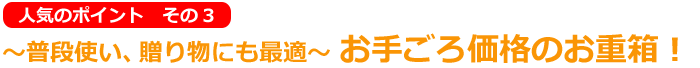 3.〜普段使い、贈り物にも最適〜 お手ごろ価格のお重箱!