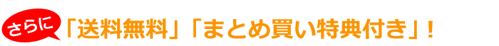さらに「送料無料」&「まとめ買い特典付き」