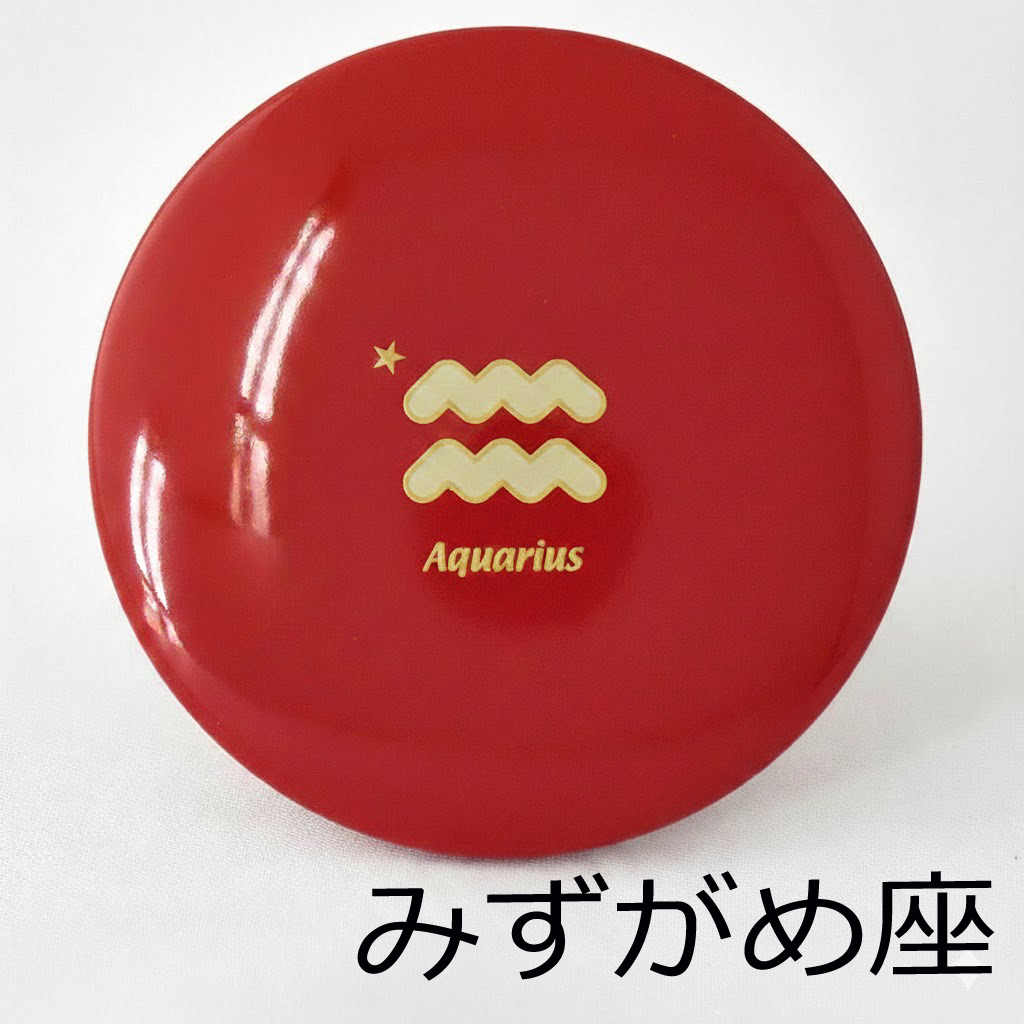 プチ手鏡 星座マーク 巾着付き コンパクトミラー